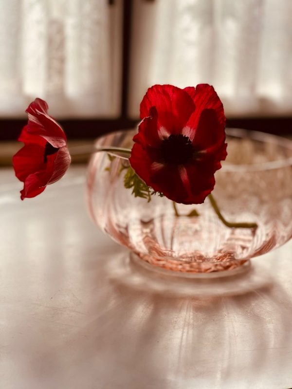 "Marie" Bowl rosé - Image 8