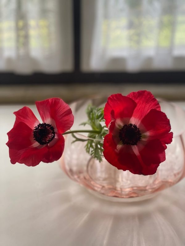 "Marie" Bowl rosé - Image 12